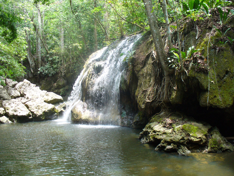 Picture 6